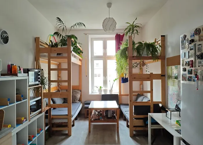 Evergreen Krakow